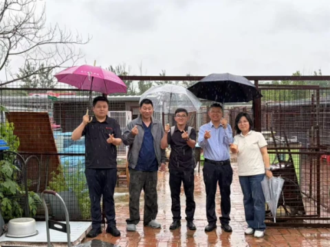 A Zoncare Animal Health ügyféllátogatásokat végez Tianjin-szerte